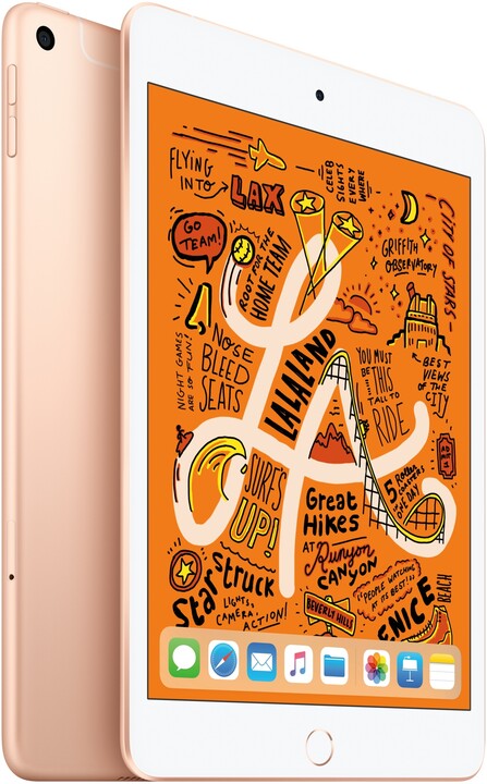 Apple iPad Mini, 256GB, Wi-Fi + Cellular, Gold, 2019 (5. gen.)_1876943484