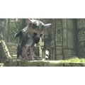 The Last Guardian (PS4)_2067656755