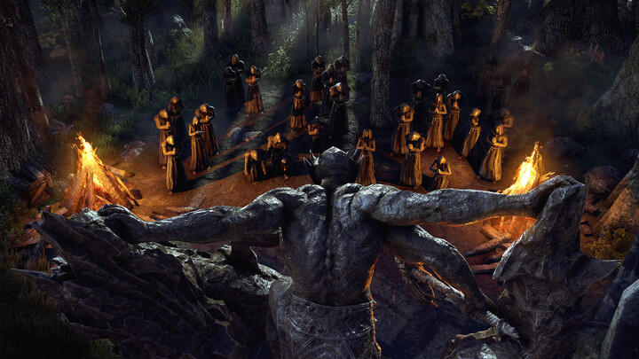 The Elder Scrolls Online Collection: Blackwood (PS4)_1458198062