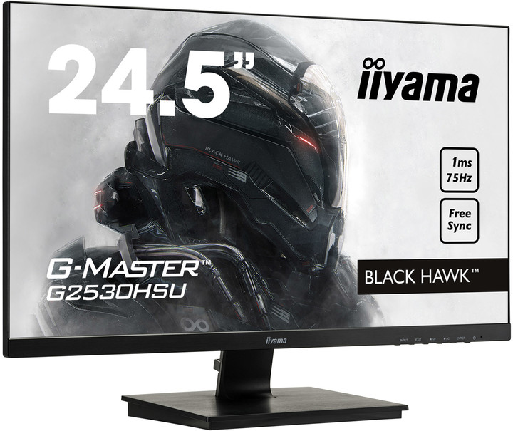 iiyama G-Master G2530HSU-B1 - LED monitor 25&quot;_577481968