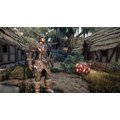 ELEX - Collector&#39;s Edition (PS4)_1894994782