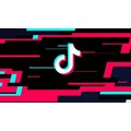 TikTok dostal v Česku stopku. Je bezpečnostní hrozba, burcuje NÚKIB