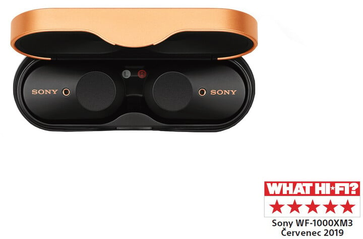 Sony WF-1000XM3, černá