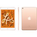 Apple iPad Mini, 256GB, Wi-Fi + Cellular, Gold, 2019 (5. gen.)_1490640200