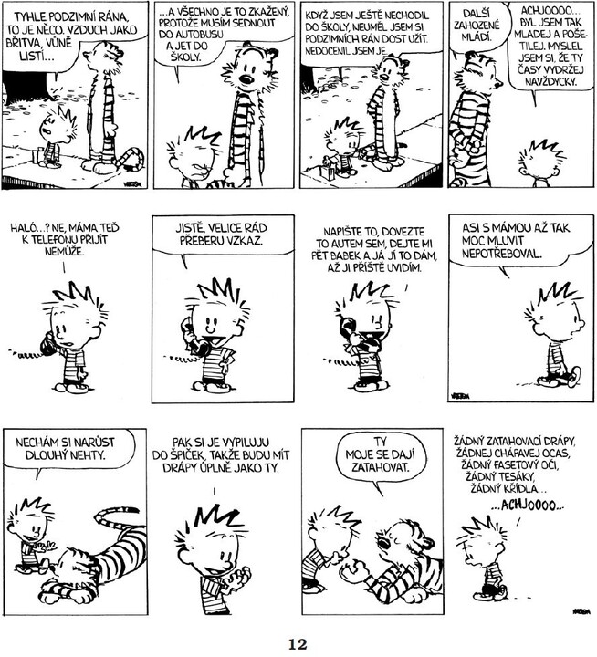 Komiks Calvin a Hobbes: Lidožravá šílená kočka z džungle, 9.díl_748871197