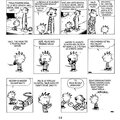 Komiks Calvin a Hobbes: Lidožravá šílená kočka z džungle, 9.díl
