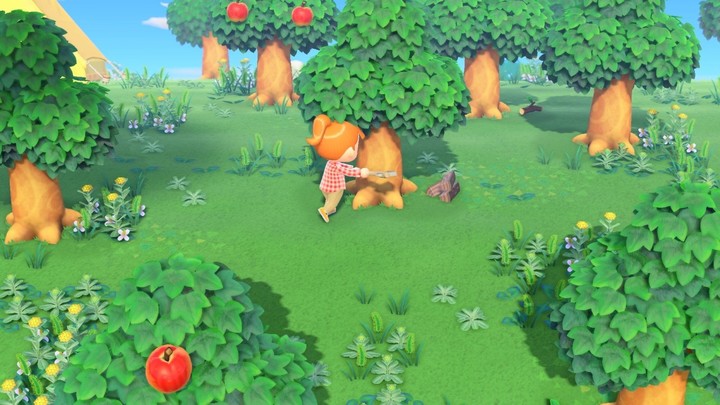 Animal Crossing: New Horizons (SWITCH)_88998250
