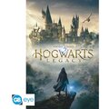 Plakát Harry Potter - Hogwarts Legacy (91.5x61)_1003399214