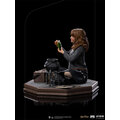 Figurka Iron Studios Harry Potter - Hermione Granger Polyjuice Art Scale 1/10_383543734