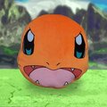 Polštář Pokémon - Charmander_1326540935