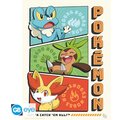 Plakát Pokémon - Starters, sada 9 ks (21x29,7)_1882300043