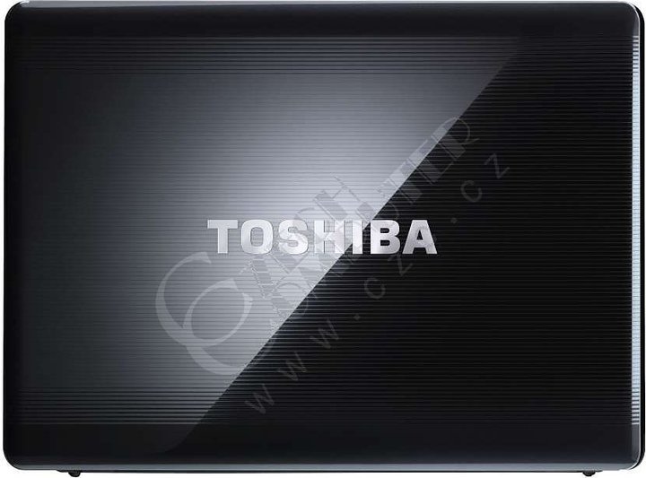 Toshiba Satellite A300-1N8_1880598293