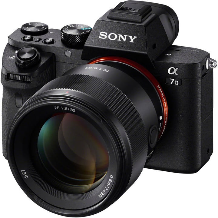 Sony FE 85mm f/1.8_344424137