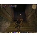 Dungeon Lords MMXII (PC)_2095897416