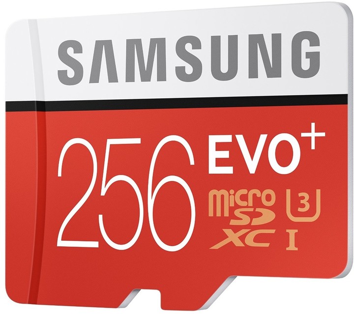 Samsung Micro SDXC EVO+ 256GB UHS-I U3 + SD adaptér_1232380145