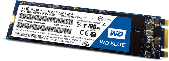 WD SSD Blue, M2 2280 - 1TB_179375733