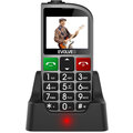 Evolveo EasyPhone FM SGM EP-800-FMS, Silver_1801057031