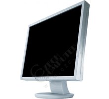Eizo S1911SE-GY - LCD monitor 19&quot;_746270954