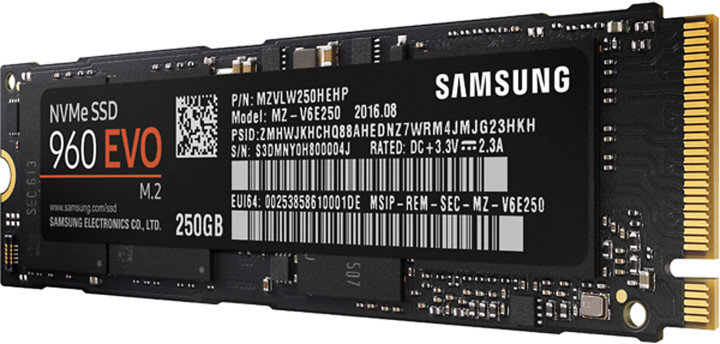 Samsung SSD 960 EVO, M.2 - 250GB_470499474
