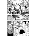 Komiks Fullmetal Alchemist - Ocelový alchymista, 10.díl, manga_1150859209