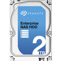 Seagate Enterprise NAS - 2TB