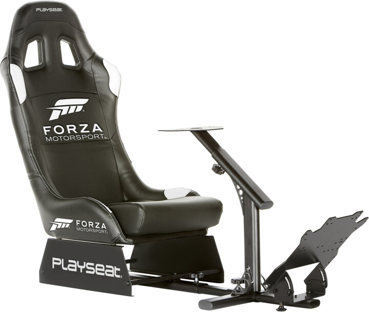 Playseat Forza Motorsport_246006918