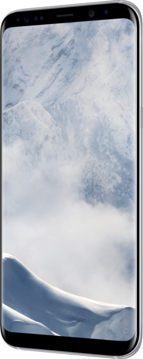 Samsung Galaxy S8+, 64GB, stříbrná_427209995