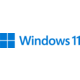 Microsoft Windows 11 Pro_333903753