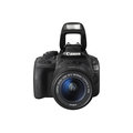 Canon EOS 100D + 18-55mm IS STM + 40mm STM_1553474857