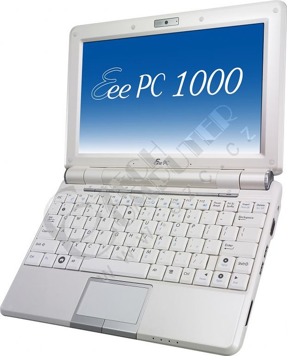 ASUS Eee PC 1000H-WHI057X, bílý_129902730
