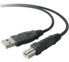 Belkin USB 2.0 A/B, 1,8m_1008124776