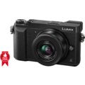Panasonic Lumix DMC-GX80, černá + 12-32 mm_1121046611
