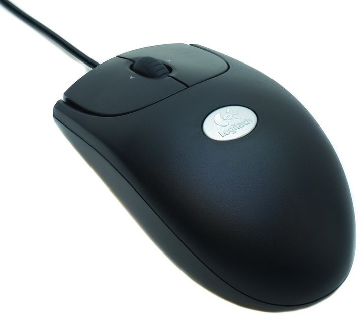 Logitech Optical Mouse RX250, černá_1737076431