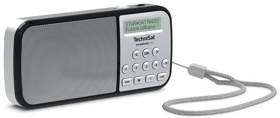 TechniSat TechniRadio RDR, stříbrná_1046560608