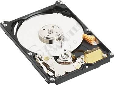 WD Scorpio Blue - 320GB_34433317