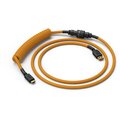 Glorious Coiled Cable, USB-C/USB-A, 1,37m, Glorious Gold_274380192