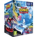 Team Sonic Racing - Special Edition (PS4)_841794868