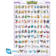 Plakát Pokemon - Sinnoh Pokemon English (91.5x61)_1501348889