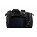 Panasonic Lumix DMC-GH5 + Leica DG 12-60mm f/2.8-4_1168141612
