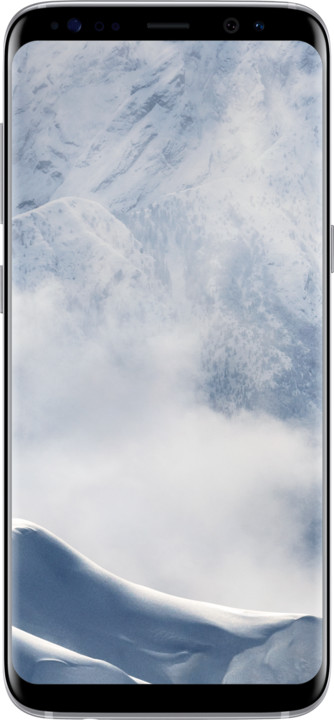 Samsung Galaxy S8, 4GB/64GB, stříbrná_149387019