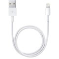 Apple datový kabel iPhone X Lightning, bílá (Bulk)_1306722727