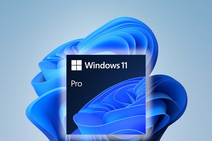 Windows 11 Pro: Ideální řešení pro firmy a školy
