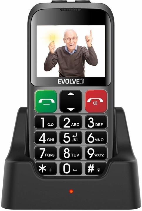 Evolveo EasyPhone EB, Silver_590850538