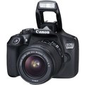 Canon EOS 1300D + EF-S 18-55 DC_833876187