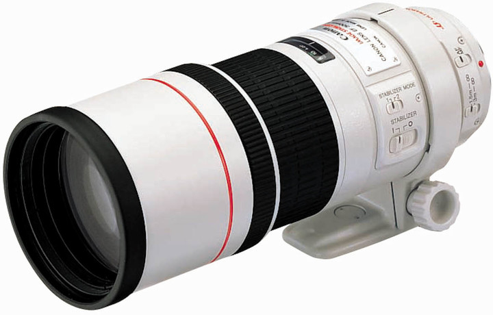 Canon EF 300mm f/4.0 L IS USM_2021675198