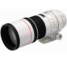 Canon EF 300mm f/4.0 L IS USM_2021675198