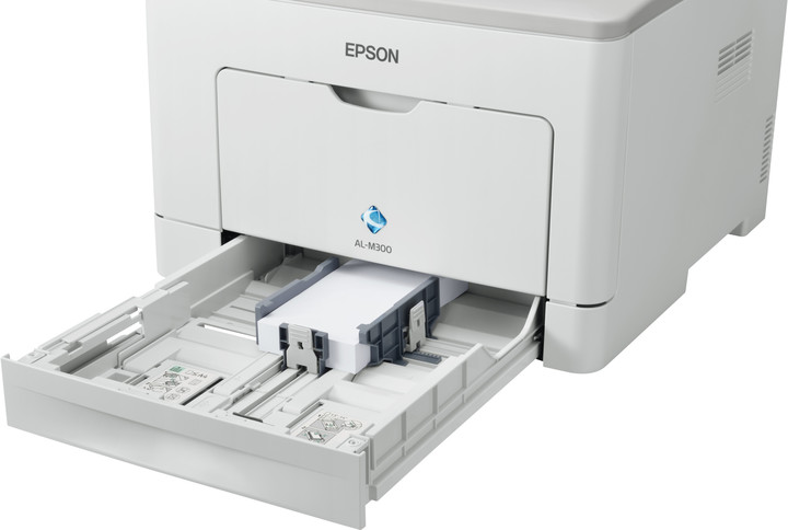 Epson WorkForce AL-M300D_735323168