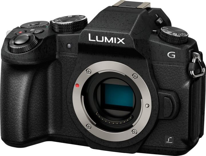 Panasonic Lumix DMC-G80 + 14-140 mm_157838539