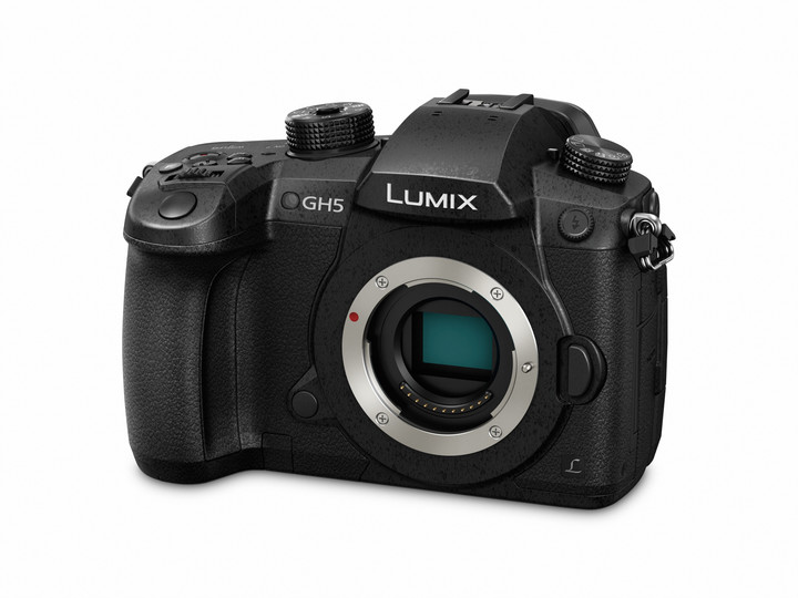 Panasonic Lumix DMC-GH5 + Leica DG 12-60mm f/2.8-4_508415202