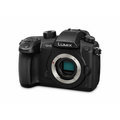 Panasonic Lumix DMC-GH5 + Leica DG 12-60mm f/2.8-4_508415202